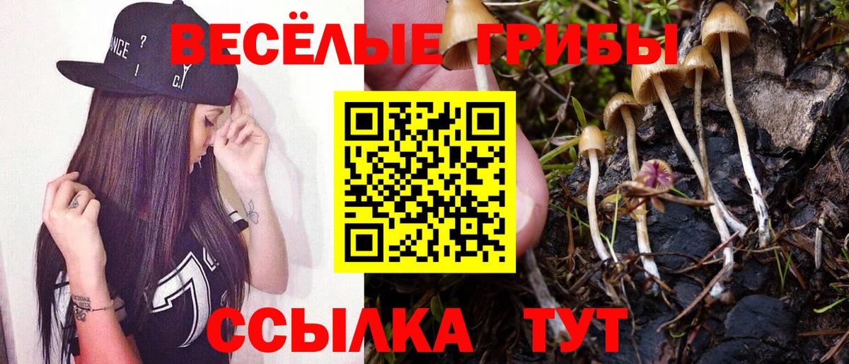 Галлюциногенные грибы мухоморы Сальск